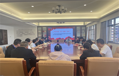 严格落实第一议题制度.jpg